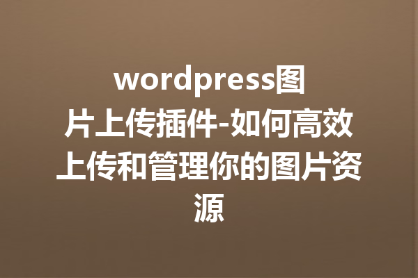 wordpress图片上传插件-如何高效上传和管理你的图片资源