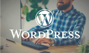 wordpress seo插件-提升网站排名的必备工具