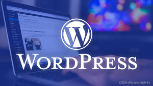 wordpress用户插件推荐-提升您网站性能的必备工具