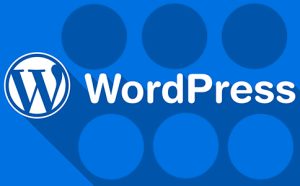 wordpress支付插件-如何选择高效的wordpress支付插件使用指南