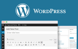 wordpress 汉化插件推荐-提升你网站多语言体验的最佳选择