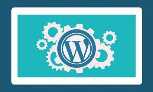 wordpress 首页 插件-提升用户体验的必备工具推荐