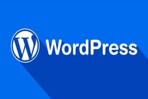 wordpress插件推荐-最值得安装的wordpress插件大全