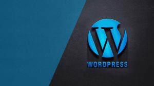 wordpress 插件被墙-如何突破限制获取wordpress 插件