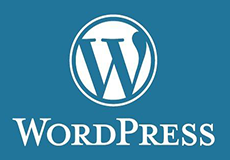 wordpress图标插件-最佳wordpress图标插件推荐与下载指南