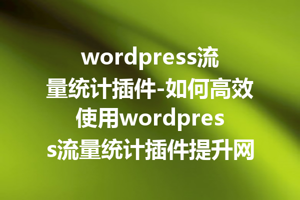 wordpress流量统计插件-如何高效使用wordpress流量统计插件提升网站性能