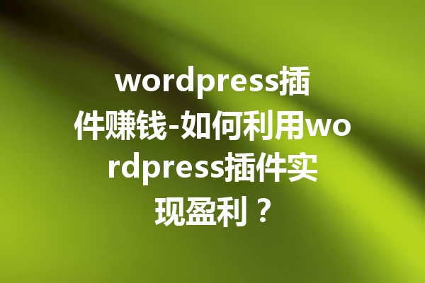 wordpress插件赚钱-如何利用wordpress插件实现盈利？