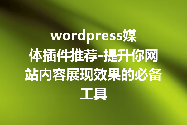 wordpress媒体插件推荐-提升你网站内容展现效果的必备工具