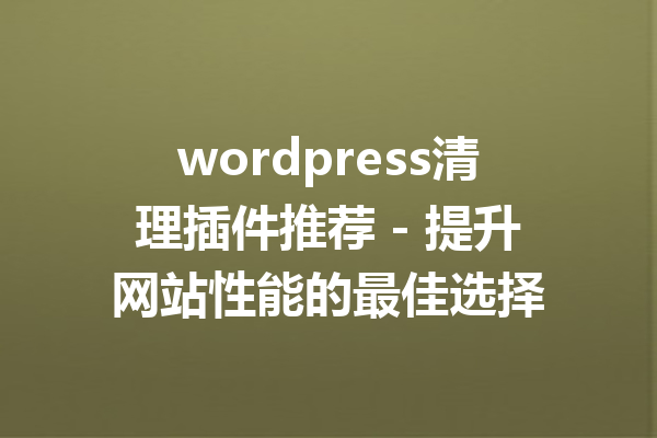 wordpress清理插件推荐 - 提升网站性能的最佳选择