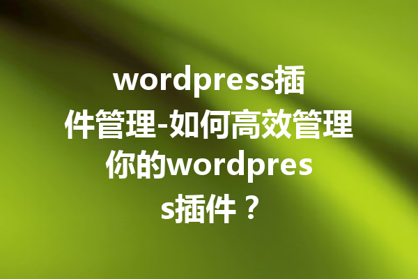 wordpress插件管理-如何高效管理你的wordpress插件？