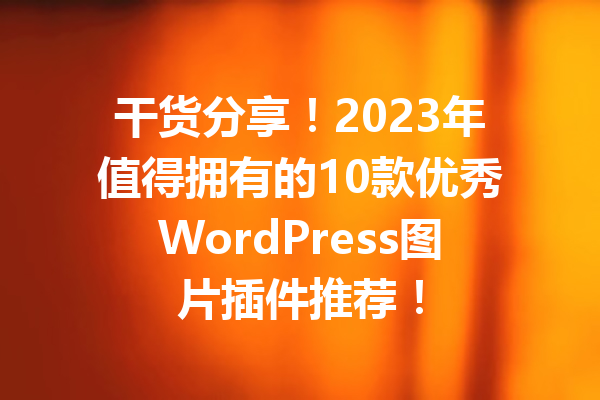 干货分享！2023年值得拥有的10款优秀WordPress图片插件推荐！