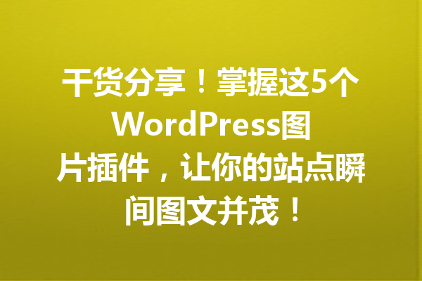 干货分享！掌握这5个WordPress图片插件，让你的站点瞬间图文并茂！