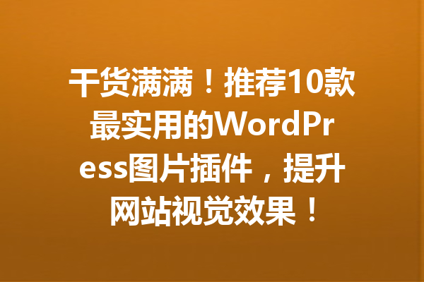 干货满满！推荐10款最实用的WordPress图片插件，提升网站视觉效果！